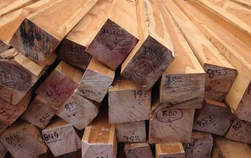 GỖ TEAK 7 GỖ TEAK
