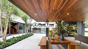 GỖ TEAK 30 GỖ TEAK