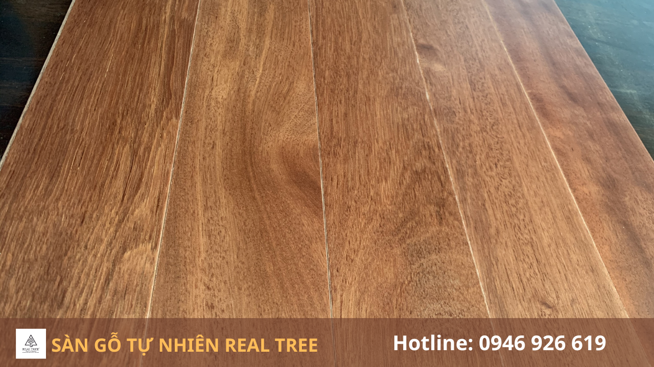Sàn gỗ tự nhiên loại nào tốt nhất Sàn gỗ tự nhiên loại nào tốt nhất