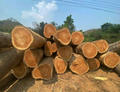 Mua tấm ốp tường-ốp trần gỗ ở đâu? 1 Mua tấm ốp tường-ốp trần gỗ ở đâu?